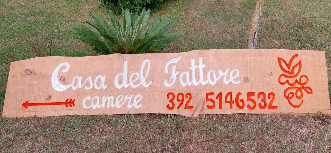 Casa Del Fattore Озимо Экстерьер фото